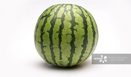 51cg1吃瓜今日热门,揭秘今日热门话题背后的真相与笑料